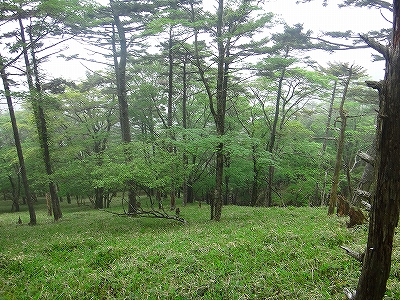 DSC1361507732.jpg