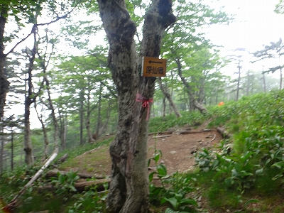 DSC1361507738.jpg