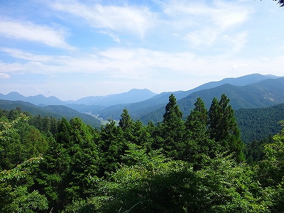 DSC1371108012.jpg