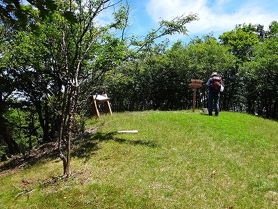 DSC1371108087.jpg