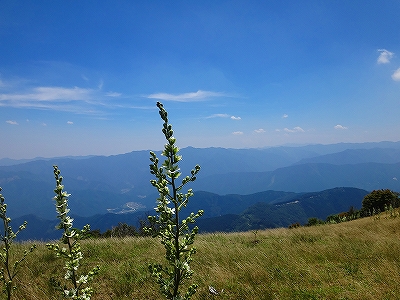 DSC1371108138.jpg