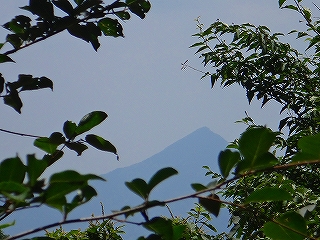 DSC1371108159.jpg