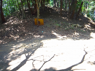 DSC1371108162.jpg