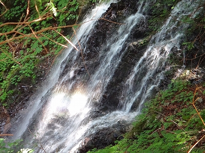 DSC1371108168.jpg