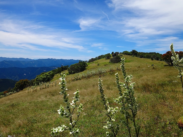 DSC1372008236.jpg