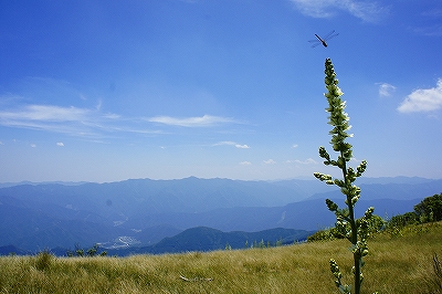 _DSC137112637.jpg