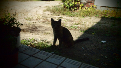PA061648.jpg