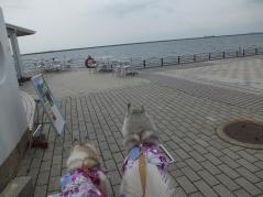 003_20130325221018.jpg