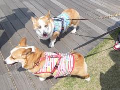 003_20130404221315.jpg