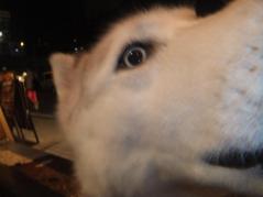 003_20130701221859.jpg