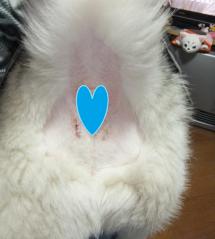 006_20130301215300.jpg