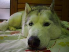 009_20130315234403.jpg