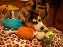 015_20130519215915.jpg