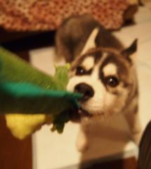 020_20130519215914.jpg