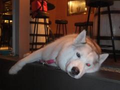 021_20130701221953.jpg