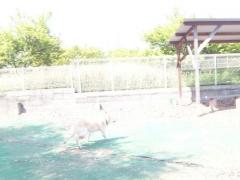 027_20130511230000.jpg