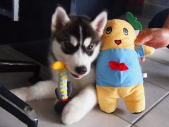 031_20130704220503.jpg
