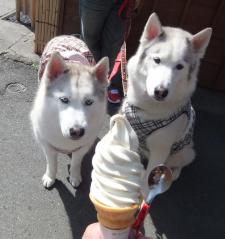 035_20130320003946.jpg