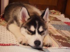 036_20130519215959.jpg