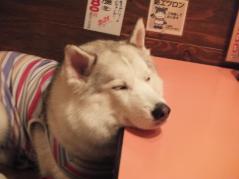 040_20130406223818.jpg