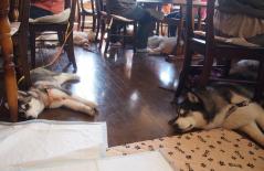 046_20130520222658.jpg