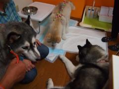 046_20130721164505.jpg