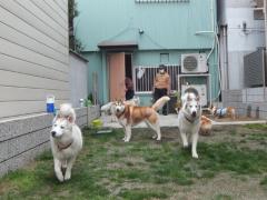 050_20130404222729.jpg