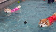 083_20130620214223.jpg