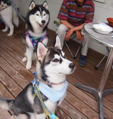100_20130723222452.jpg