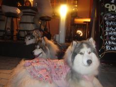 101_20130523230002.jpg