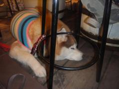 102_20130523230002.jpg