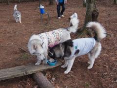 103_20130519222708.jpg