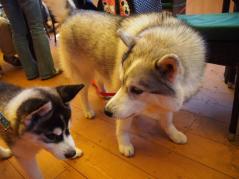 108_20130516222026.jpg