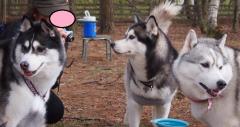 108_20130519222707.jpg