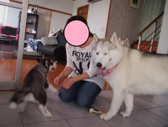 108_20130704222950.jpg