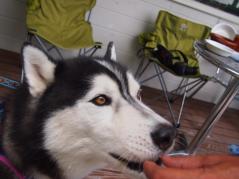 108_20130723222451.jpg