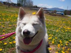 109_20130512212718.jpg