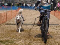 112_20130424222205.jpg