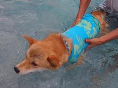 112_20130620220430.jpg