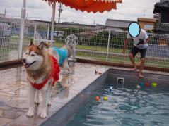 113_20130620220428.jpg