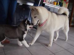 114_20130704223427.jpg