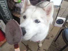 116_20130530222610.jpg