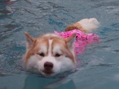 118_20130620220427.jpg