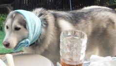 119_20130530222609.jpg