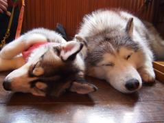 120_20130519231310.jpg