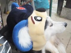 123_20130530222741.jpg