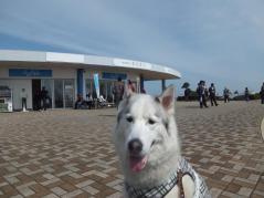 127_20130320220622.jpg