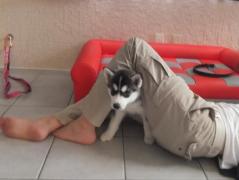 127_20130627222727.jpg