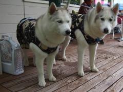 129_20130725214437.jpg