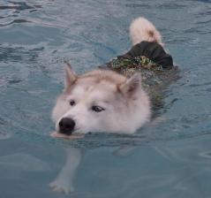131_20130620220426.jpg